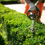 Lawn Mowing Service OKC