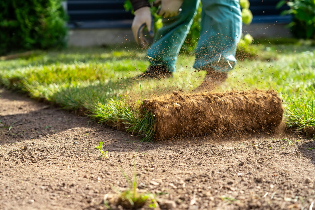 Lawn Mowing Service OKC