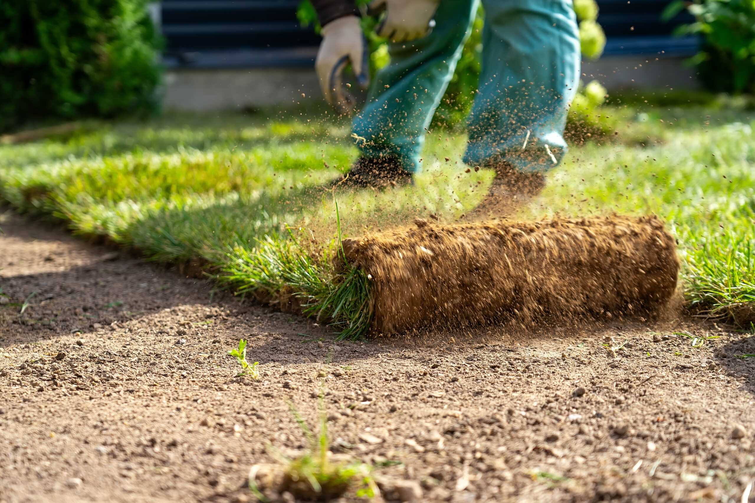 Sow, Grow, Mow: Essential Lawn Care Tips and Tricks - Lawn Mowing ...